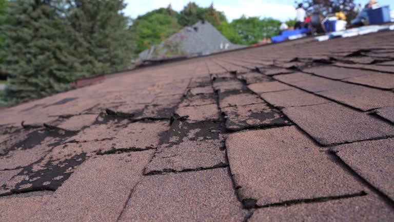 Best Roof Maintenance and Cleaning  in Naco, AZ